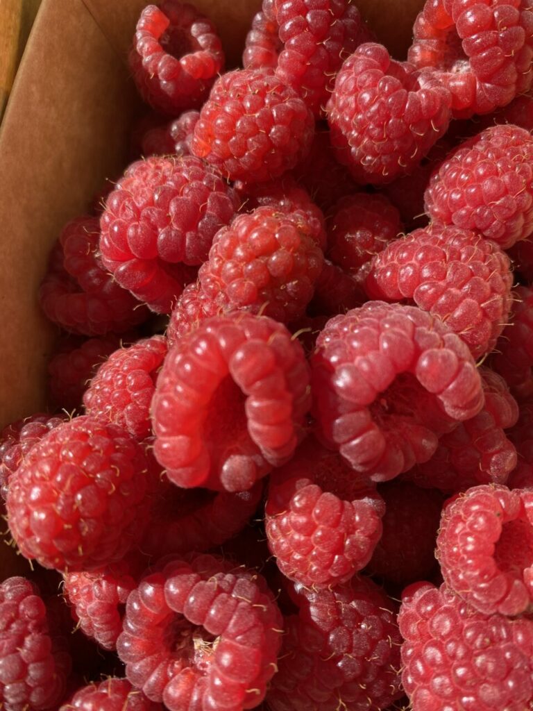 La fraîcheur des framboises de Maison Rouge Framboise