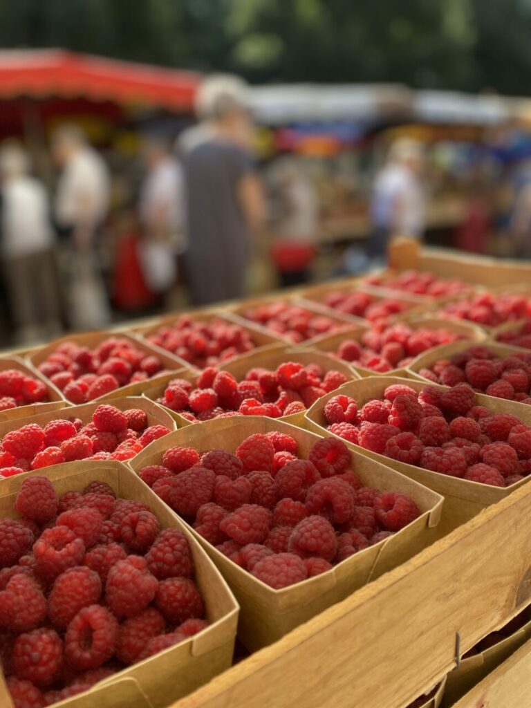 Les framboises, à peine cueillies, sont déjà sur le marché ! Fraîcheur et goût !