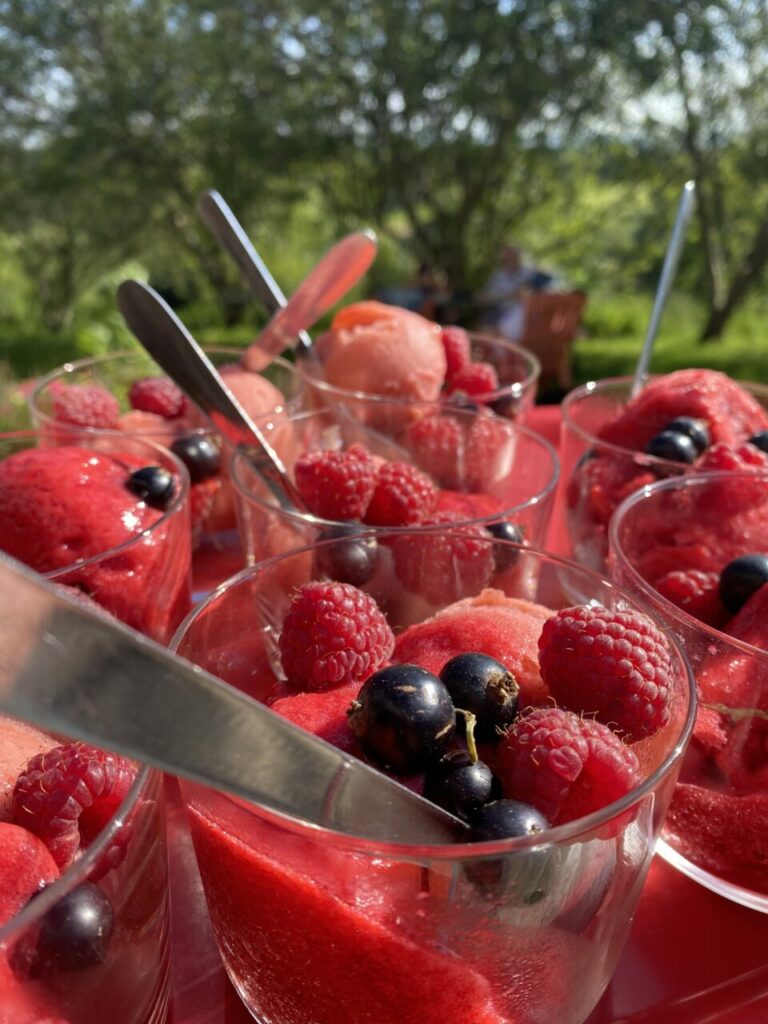 Des verrines de fruits rouges fraichement cueillis et prêts à être déguster