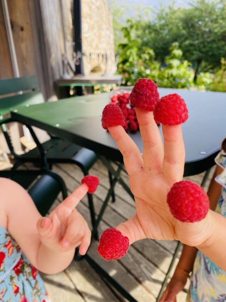 Framboises au bout des doigts avant dégustation