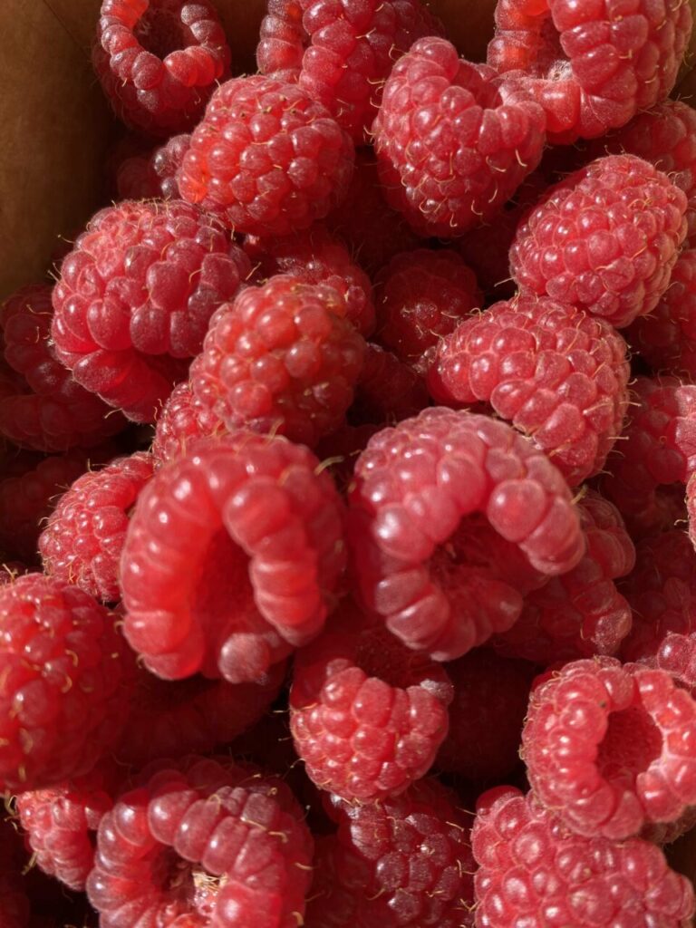 Les goûts et les bonheurs de l’été ! 2 Framboises vues de près