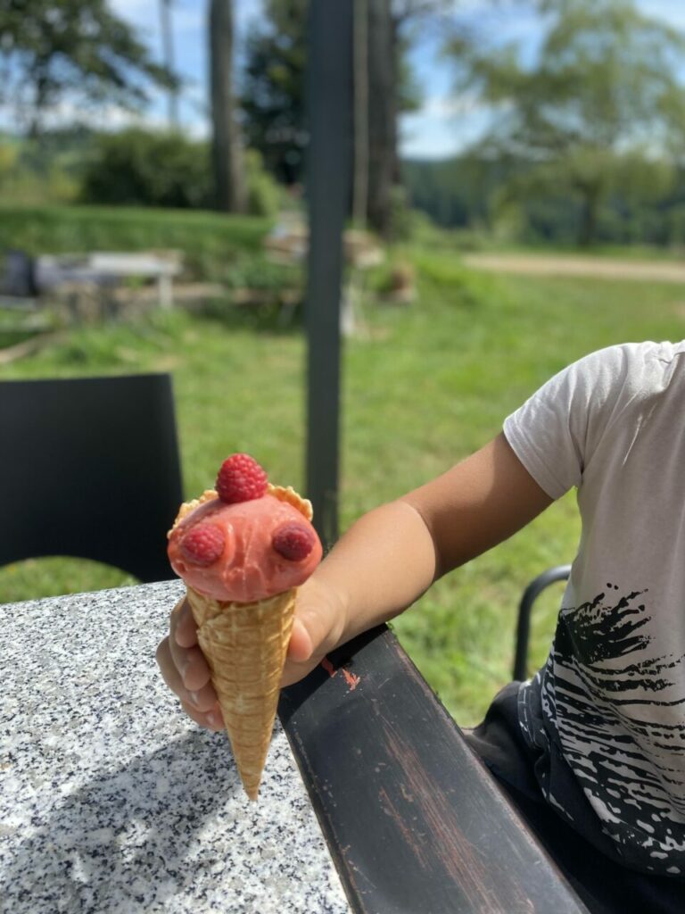 Un magnifique sorbet de framboise prêt à se faire déguster