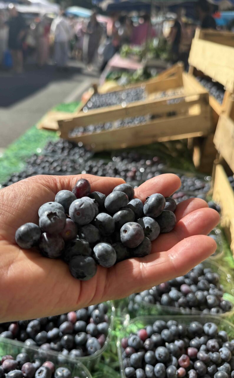 Une poignée de bleuets (myrtilles du jardin)au marché