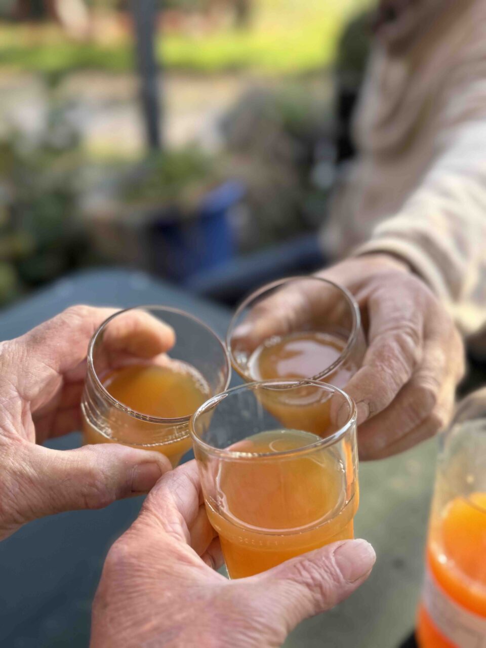 3 personnes qui trinquent avec du jus de pomme