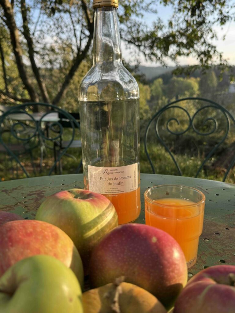 Pommes et jus de pommes posées sur la table vus de face